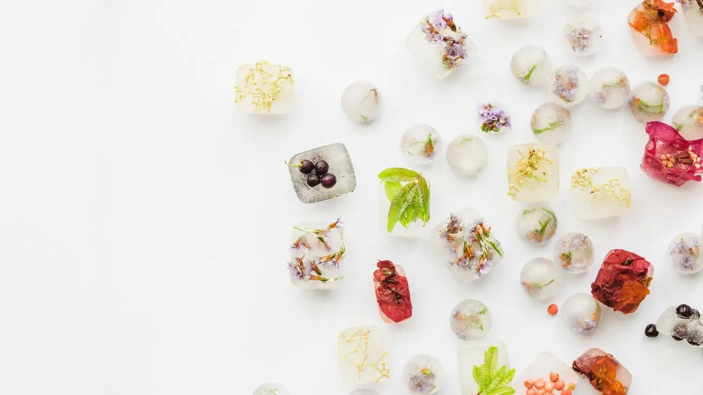 Verschiedene Pflanzen in Eisrechtecken und Eiskugeln