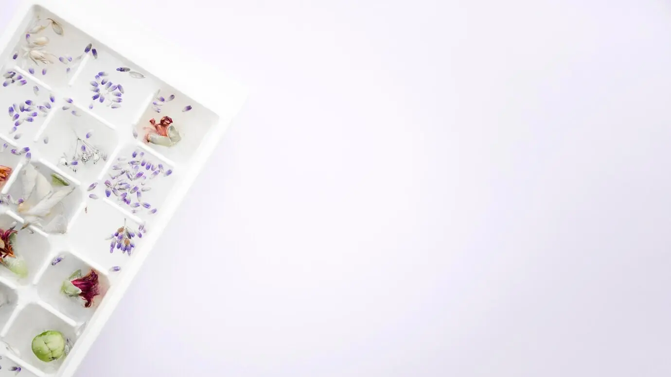 In Eiswürfelformen befindliche Samen und Blumen